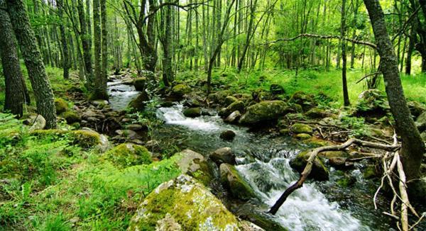 Ruralrut En El Tiemblo Precios Especiales A Partir De 7 Noches, Wifi, Cabina De Hidromasaje, Aire Acondicionado, Zonas De Bano Naturales Cercanas Exterior foto