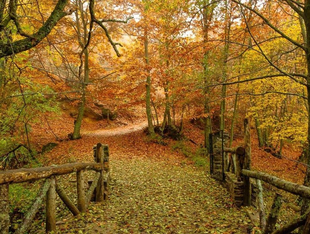 Ruralrut En El Tiemblo Precios Especiales A Partir De 7 Noches, Wifi, Cabina De Hidromasaje, Aire Acondicionado, Zonas De Bano Naturales Cercanas Exterior foto