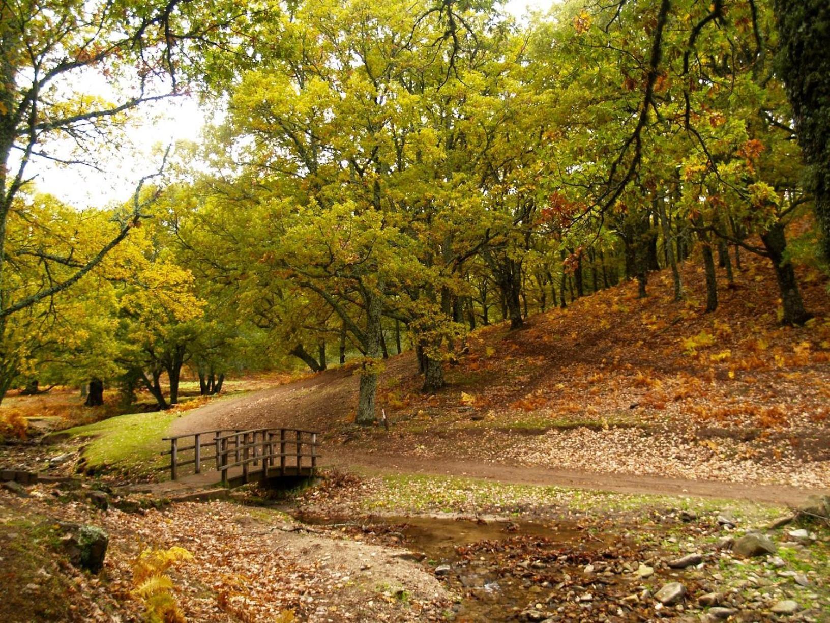 Ruralrut En El Tiemblo Precios Especiales A Partir De 7 Noches, Wifi, Cabina De Hidromasaje, Aire Acondicionado, Zonas De Bano Naturales Cercanas Exterior foto